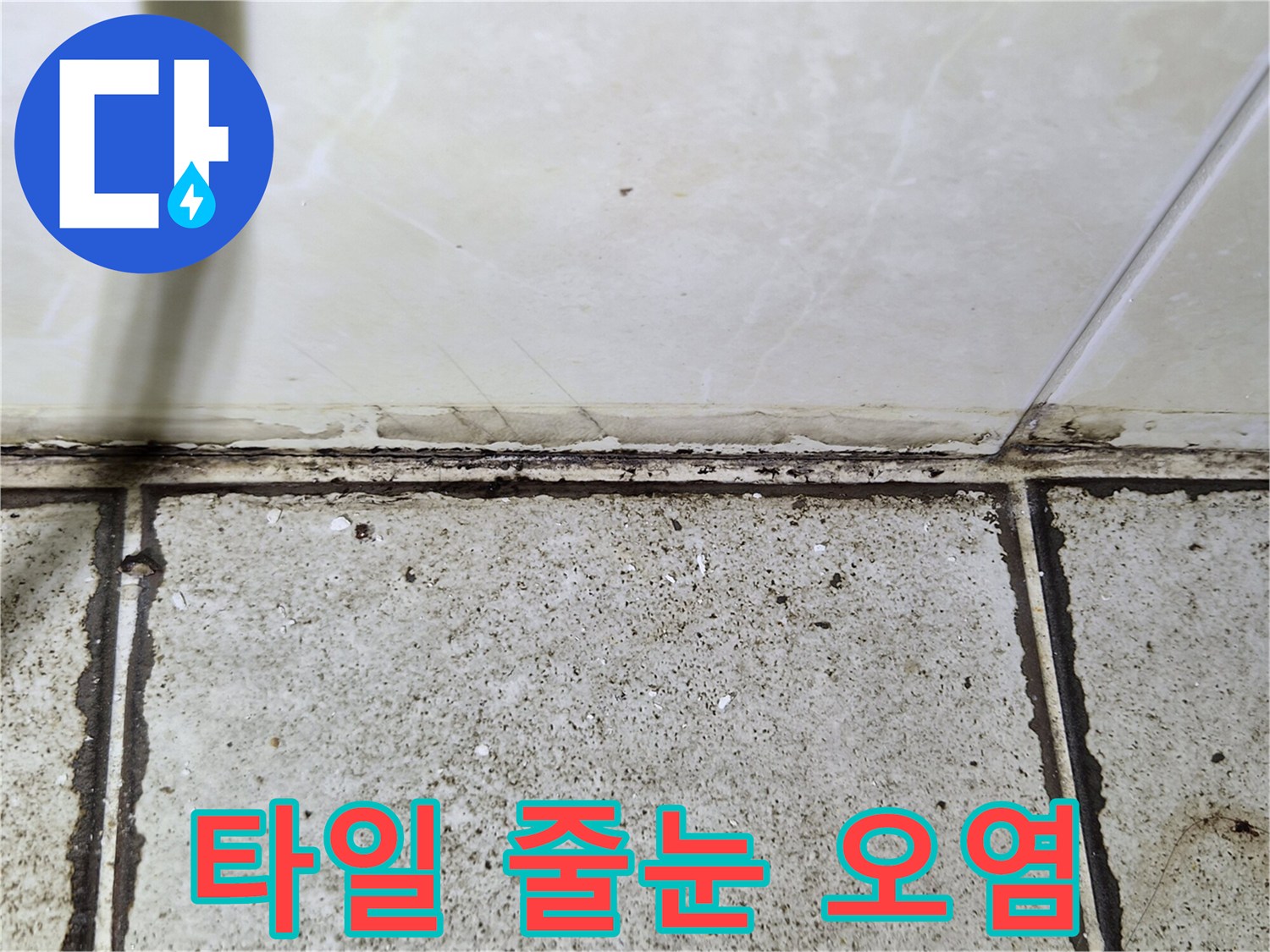 욕실-바닥-타일-사이-틈새-오염-상태-확인