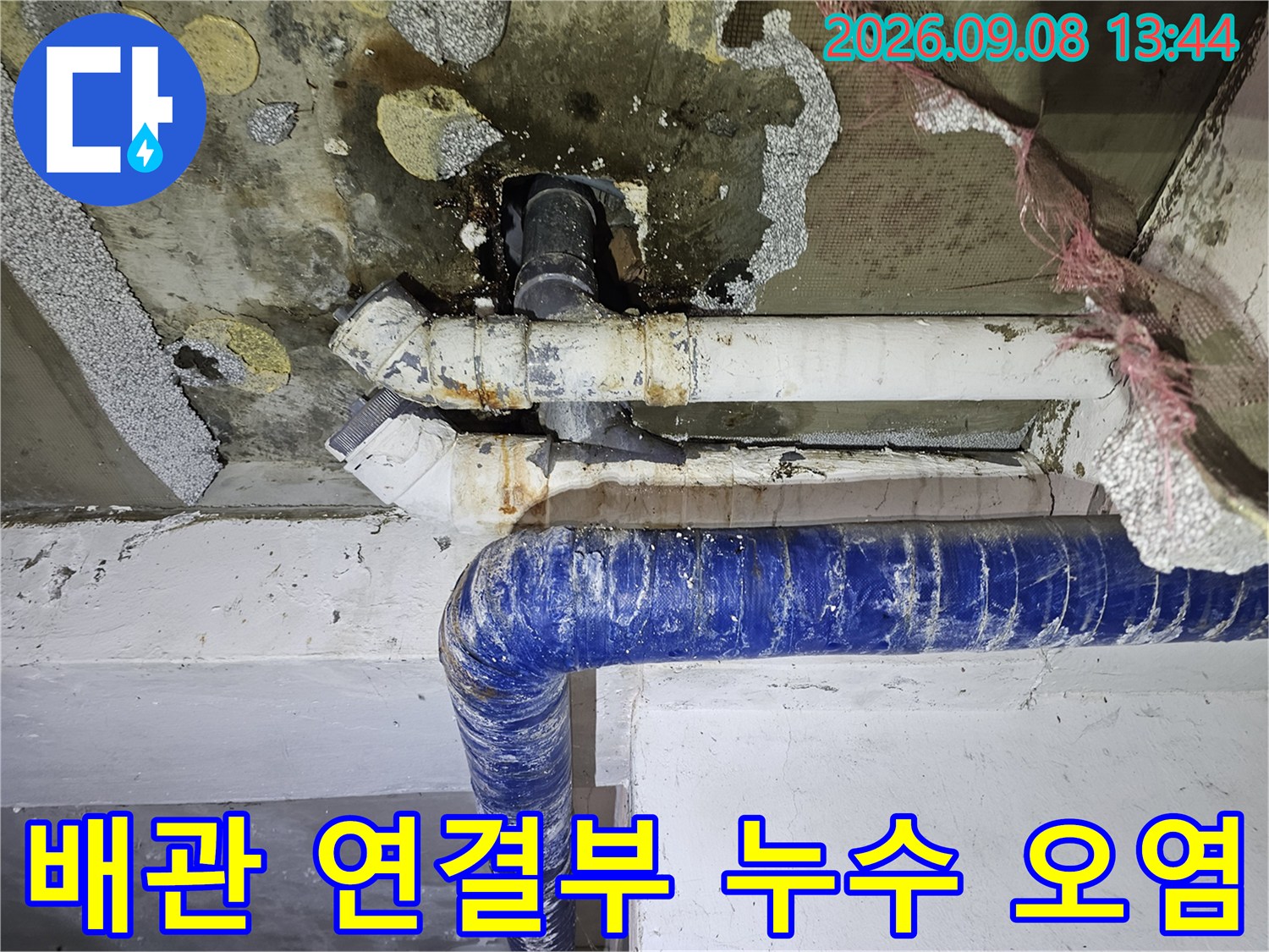 갈현동 천장 배관의 누수 흔적과 곰팡이 발생 현장 점검