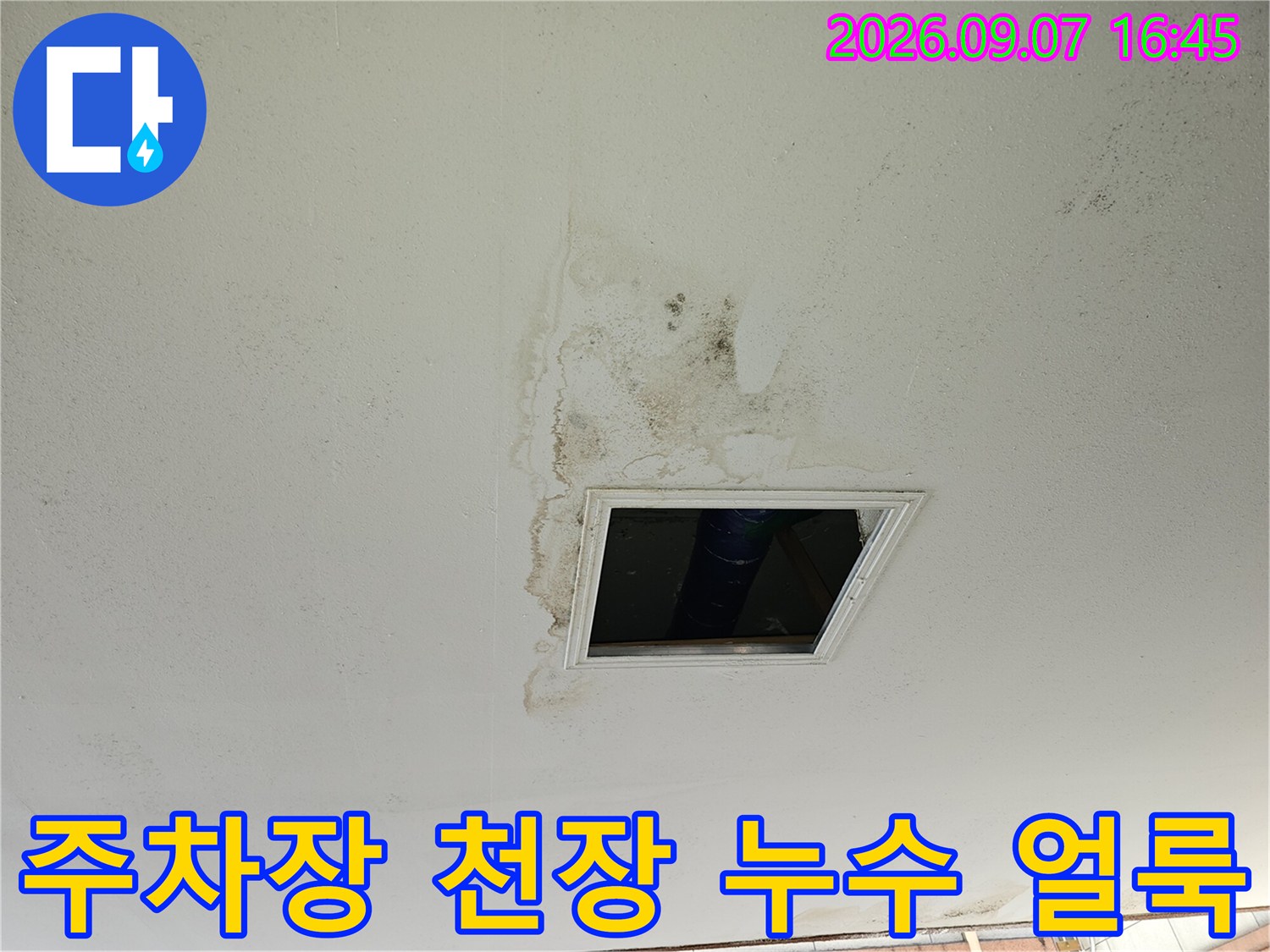 인천 남동구 구월동-필로티 주차장 천장의 누수 흔적과 점검구 모습