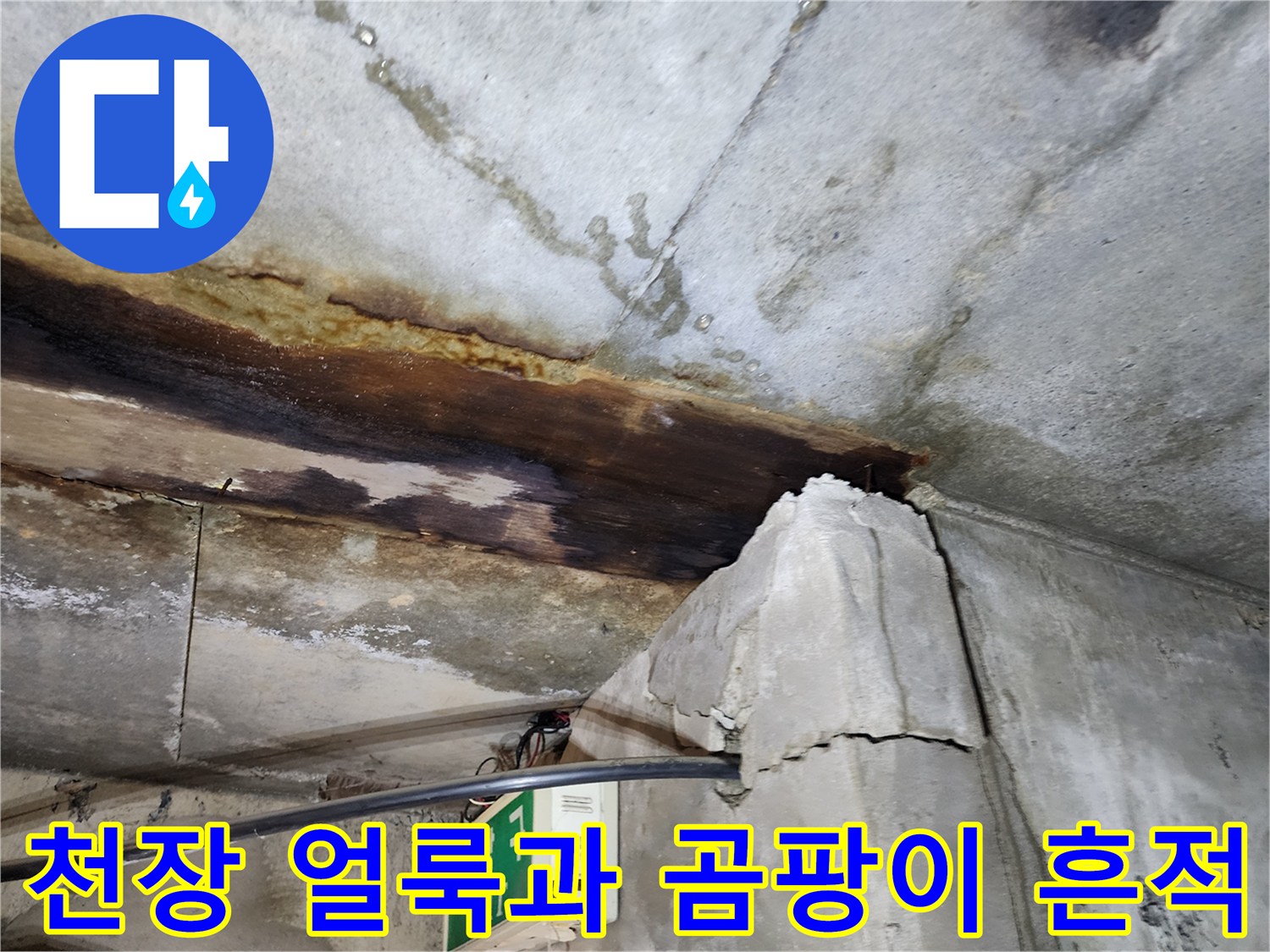 누수-흔적으로-오염된-지하층-천장면