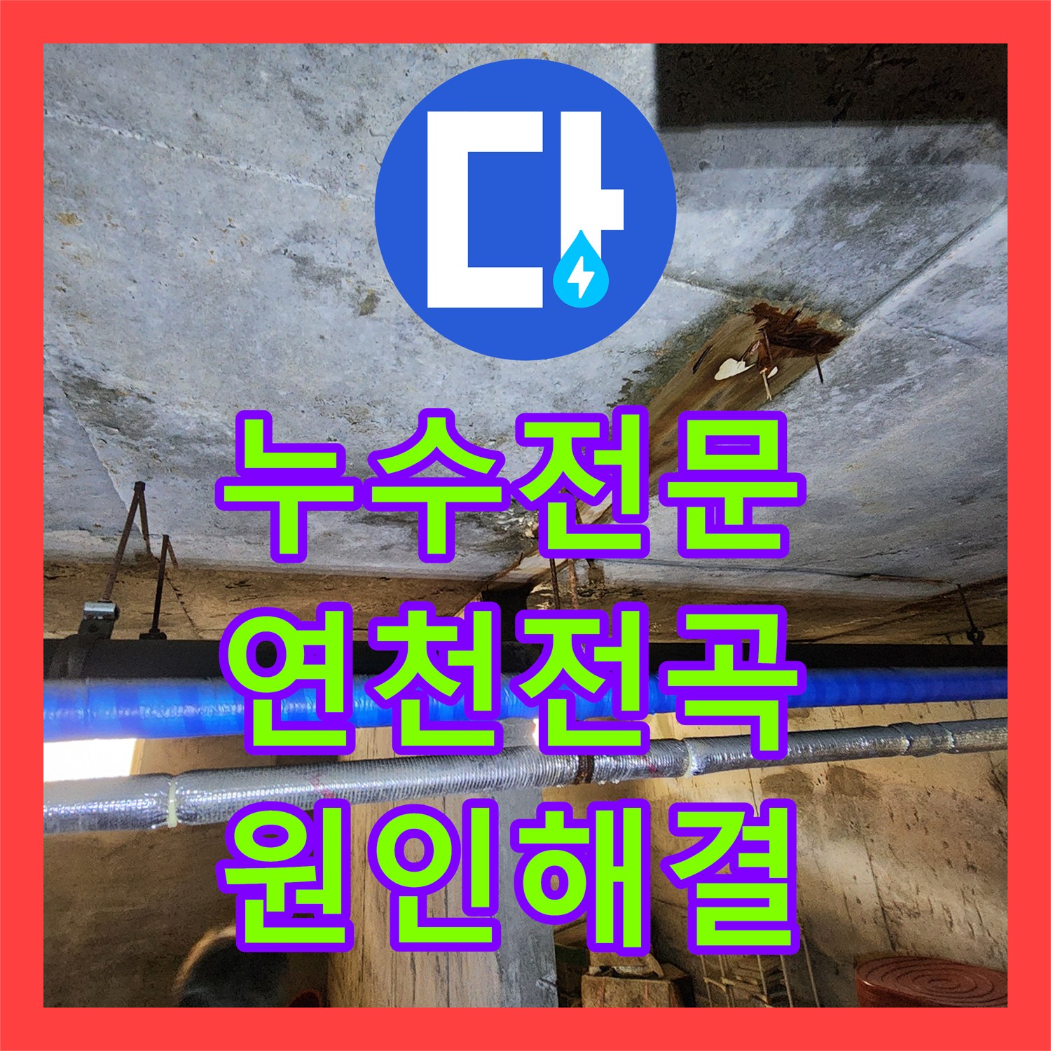 누수전문 빌라 지하층 천장 낙수 원인이 된 싱크대 배관 수리 사례 경기 연천군 전곡읍