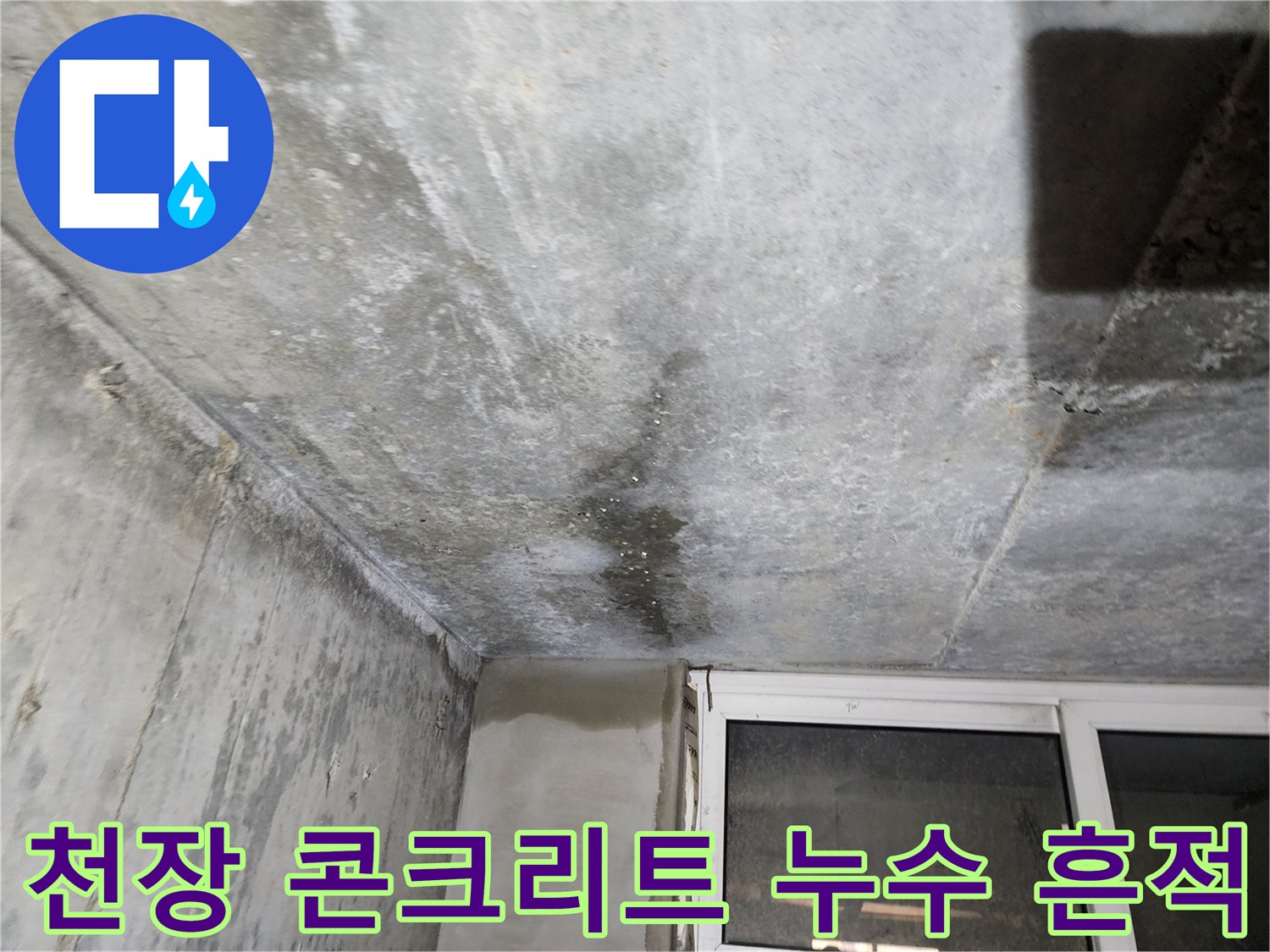 연천 전곡 빌라-물샘 증상이 나타난 지하 천장 면