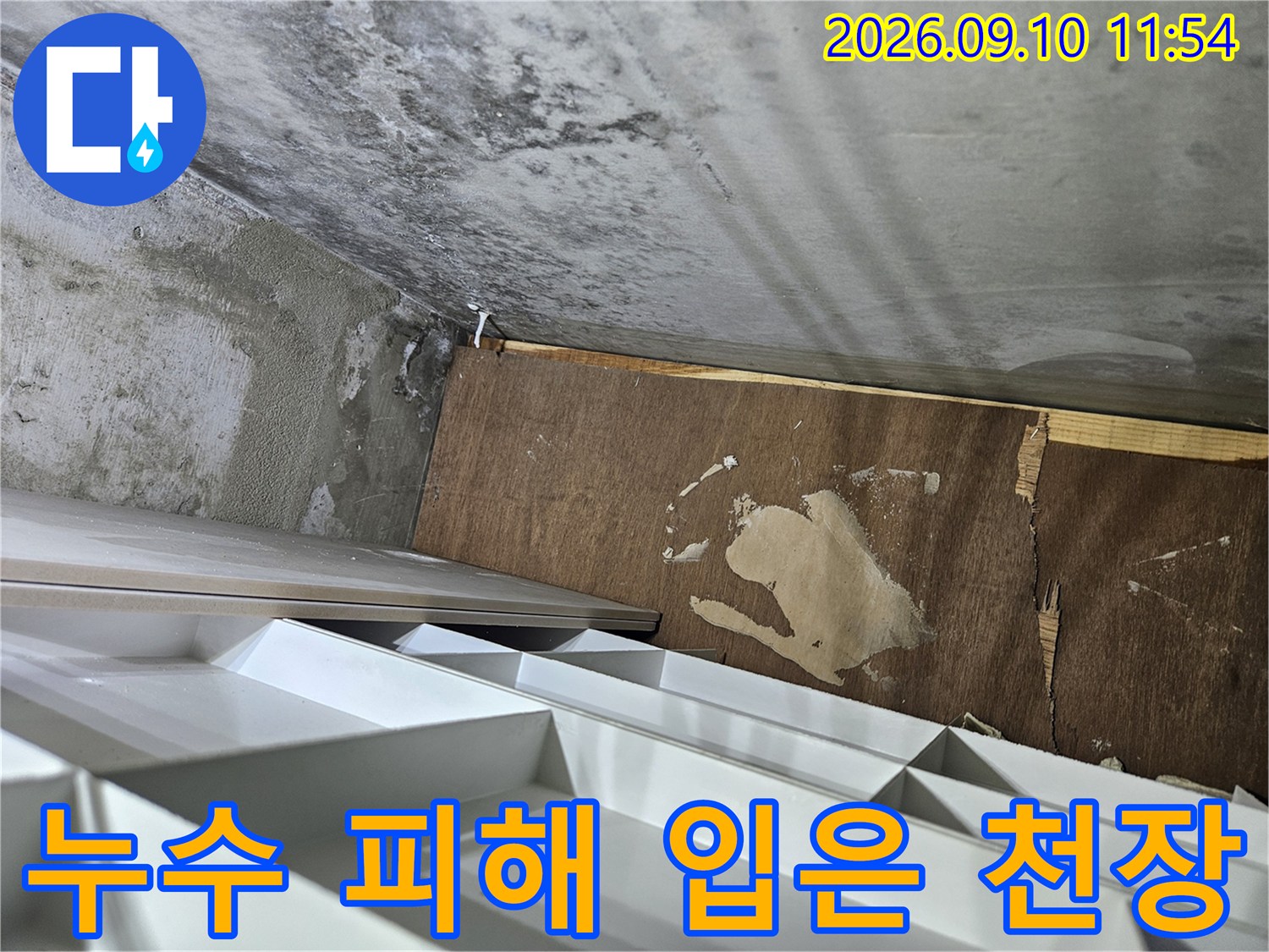 물에 젖어 변색된 천장 합판과 콘크리트 벽체-민락동 누수 현장