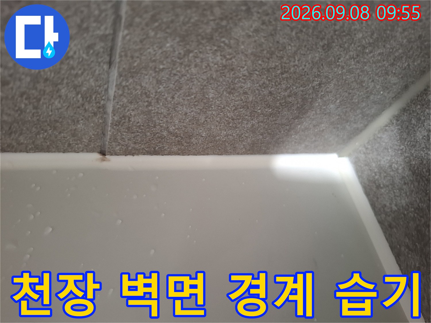 하대원동 현장에서 발견된 천장과 벽의 습기 오염 부위