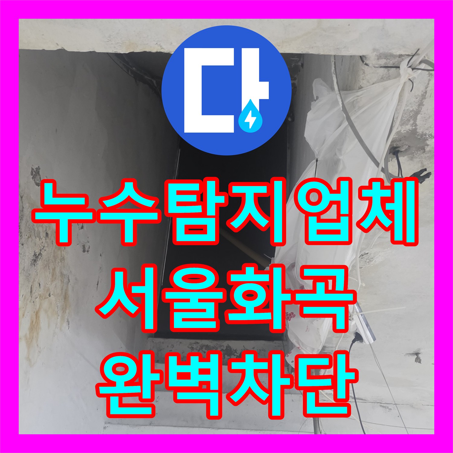 누수탐지업체 지하 천장 물샘 원인 파악 및 하수 배관 교체 서울 강서구 화곡동