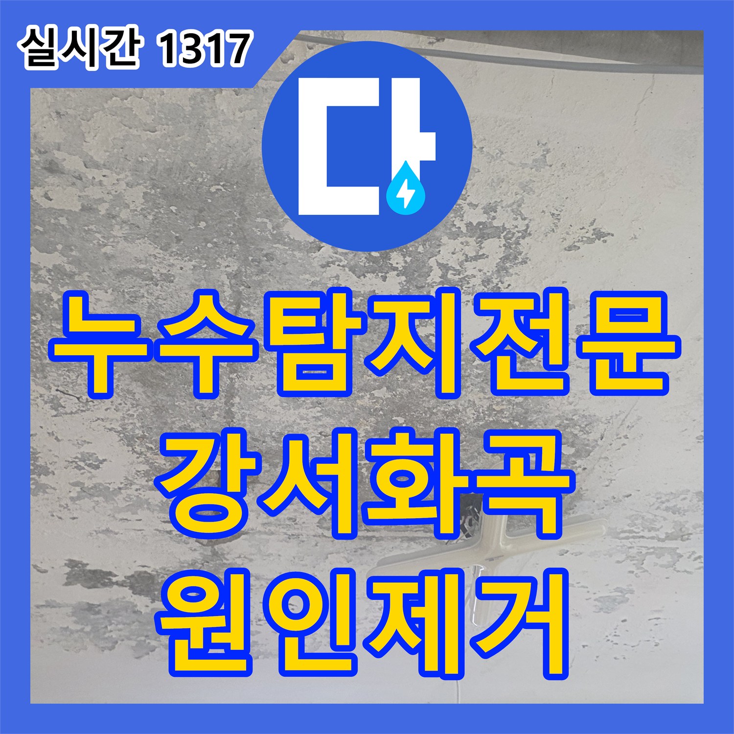 누수탐지전문 지하 천장 누수를 유발한 1층 식당의 배수관 결함을 형광물질 검사로 찾아 해결한 사례 서울 강서구 화곡동