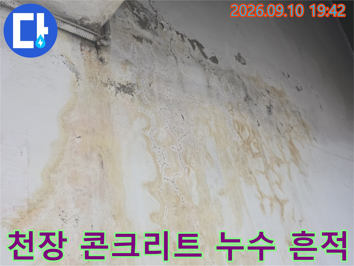 지하 계단 천장 벽면을 타고 흐른 누수 경로와 얼룩