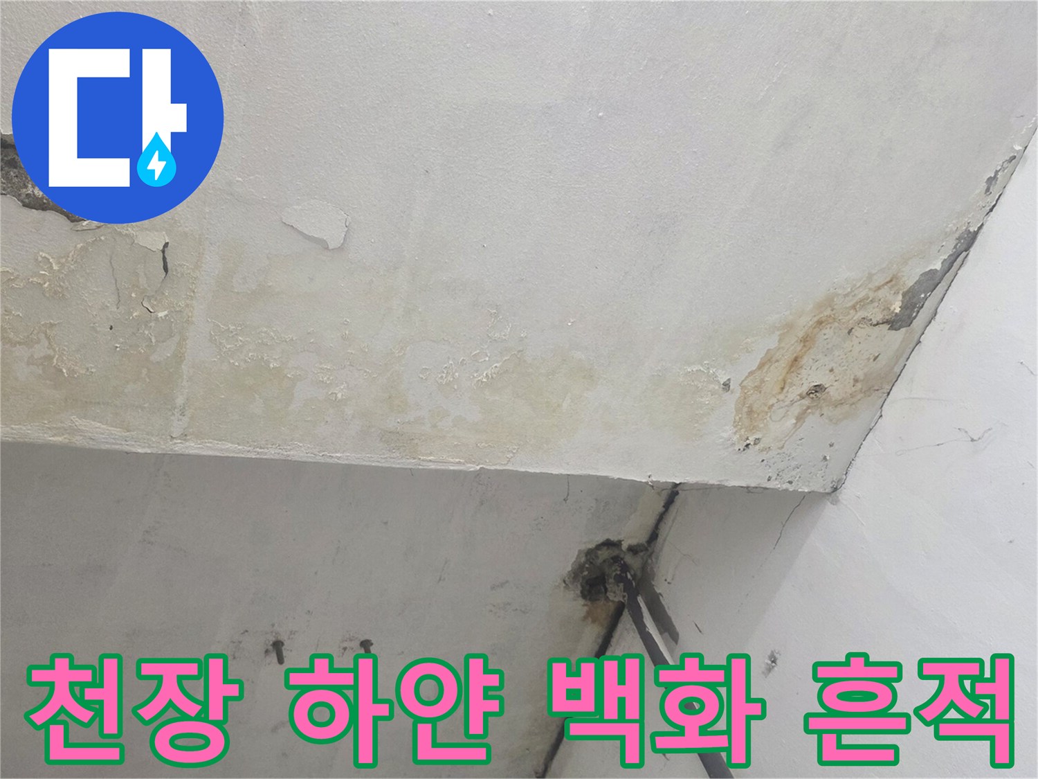 화곡동 지하 공간-천장 부근의 백화 및 물자국 상세 이미지