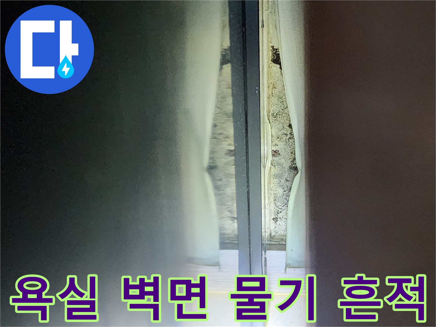 샤워실-벽면-타일-사이-물기-침투-현상