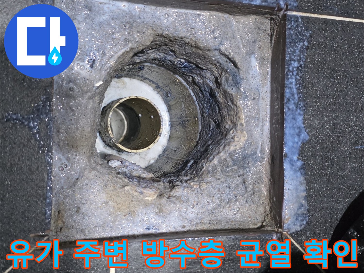 배수구 유가 제거 후 드러난 젖은 바닥과 배관 부위