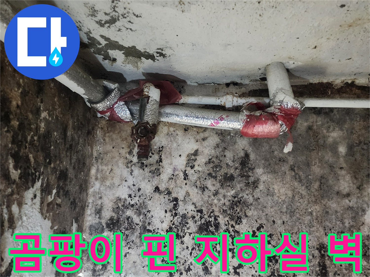 누수로 인해 곰팡이가 발생한 지하실 내부 벽면과 배관