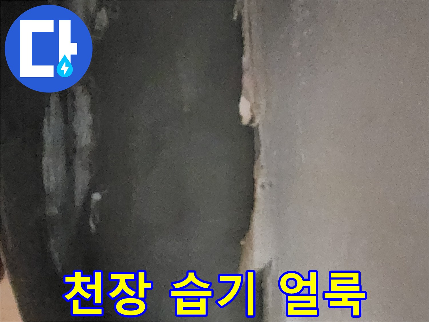 누수로 인해 침수된-지하 천장 마감재 표면