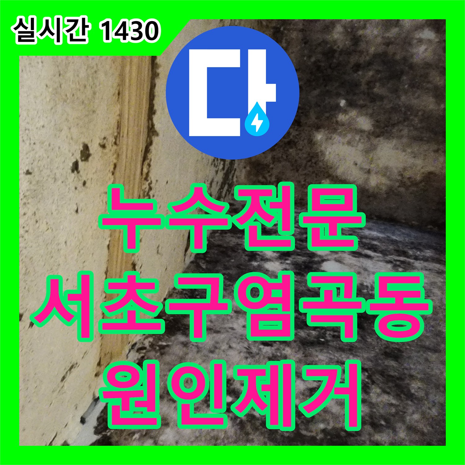 누수전문 지하실 천장 곰팡이의 주범인 매립 배관 누수를 잡아낸 서울 서초구 염곡동 현장