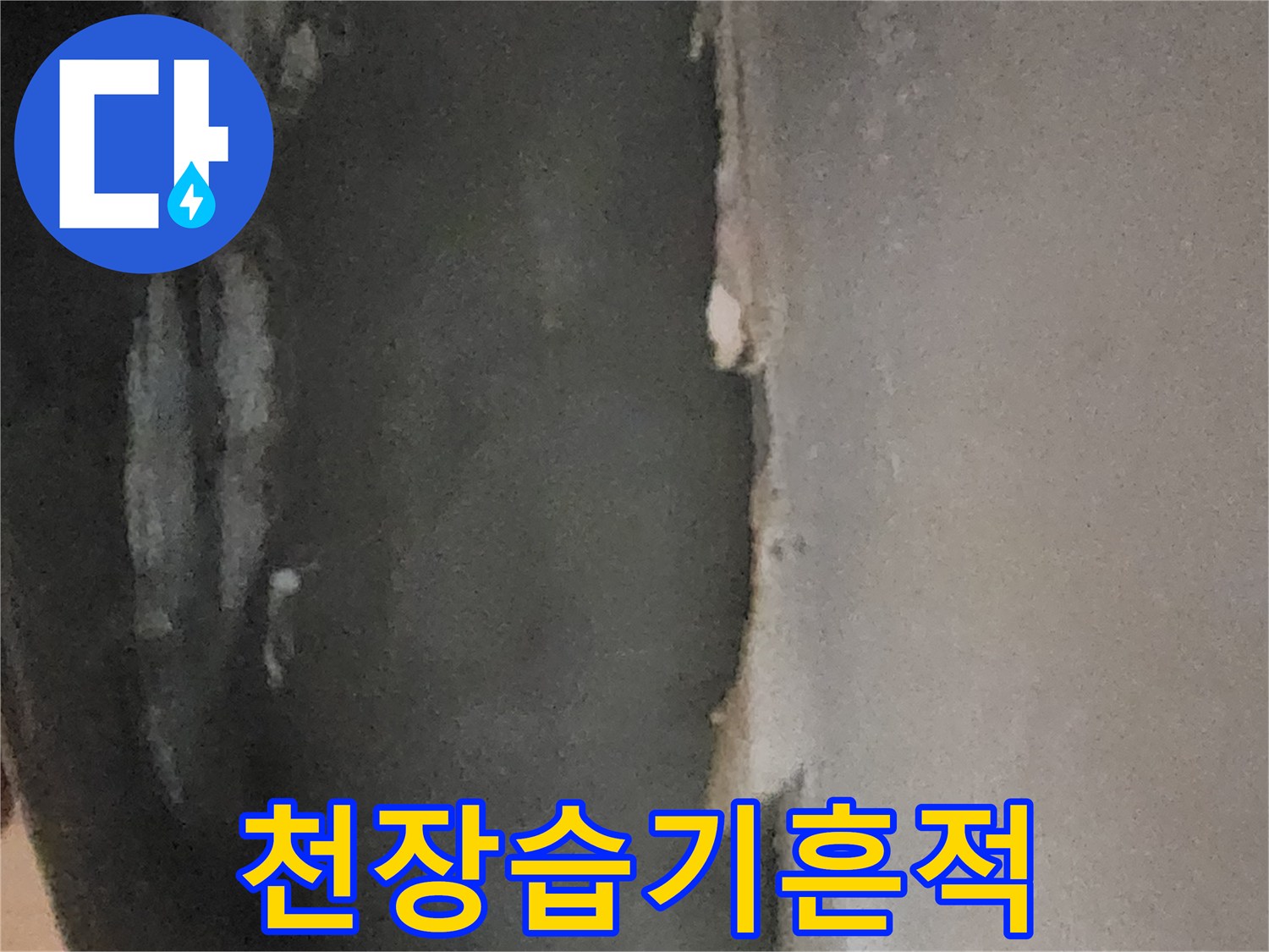 물기에 젖어 변색된 지하실 천장 마감재 부위