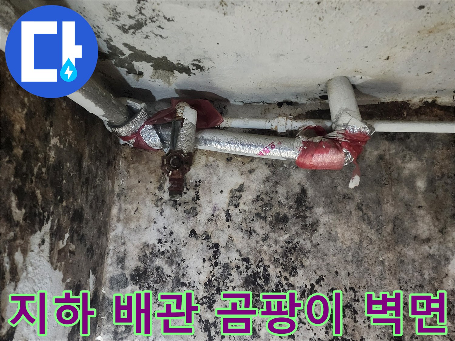 서초구-염곡동-지하-배관-주변의-심한-곰팡이와-습기-상태