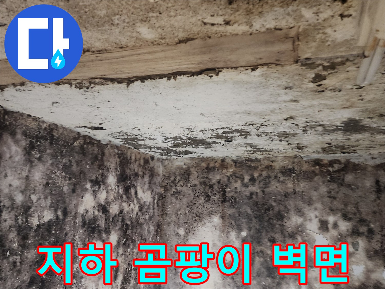 습기가 가득 찬-지하실의 오염된 벽면과 바닥 경계