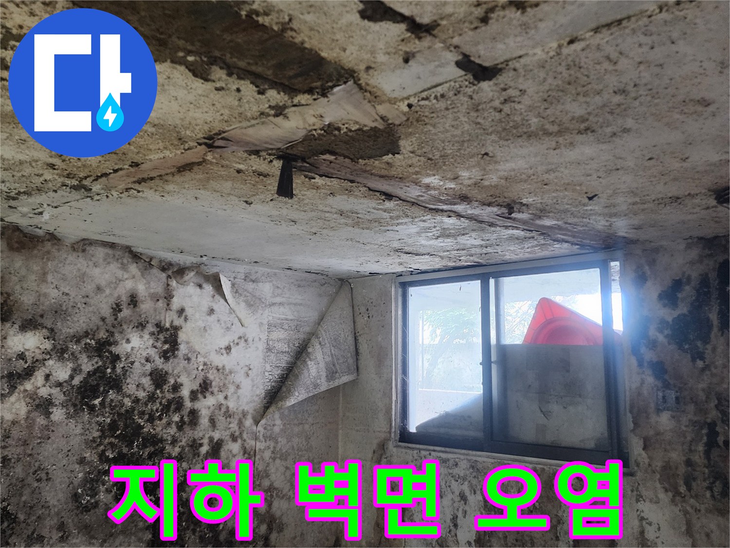 습기로 인해 변색되고 곰팡이가 생긴 지하실 벽체