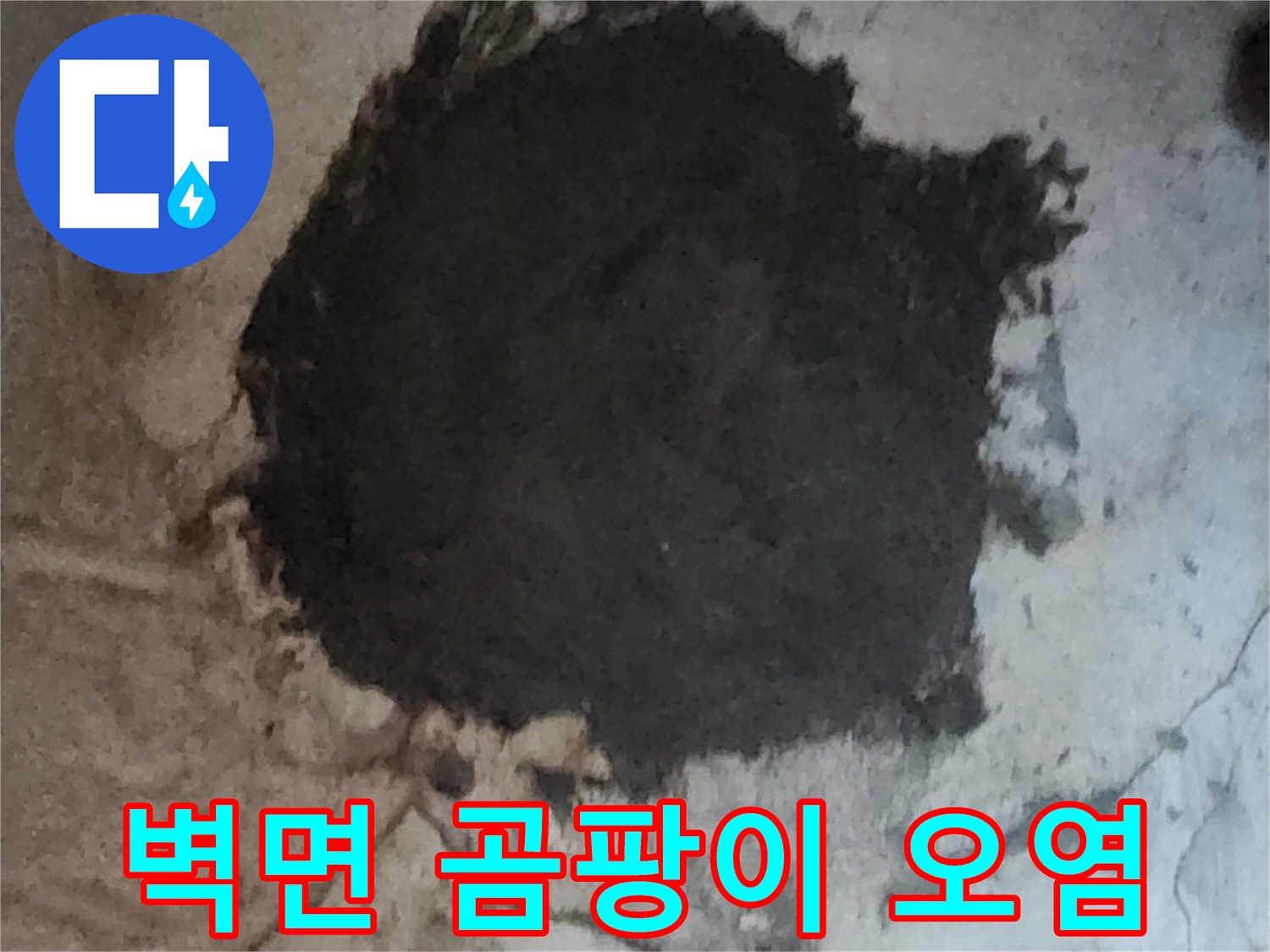 습기로 인해 변색된 지하 벽면-곰팡이와 얼룩 확인
