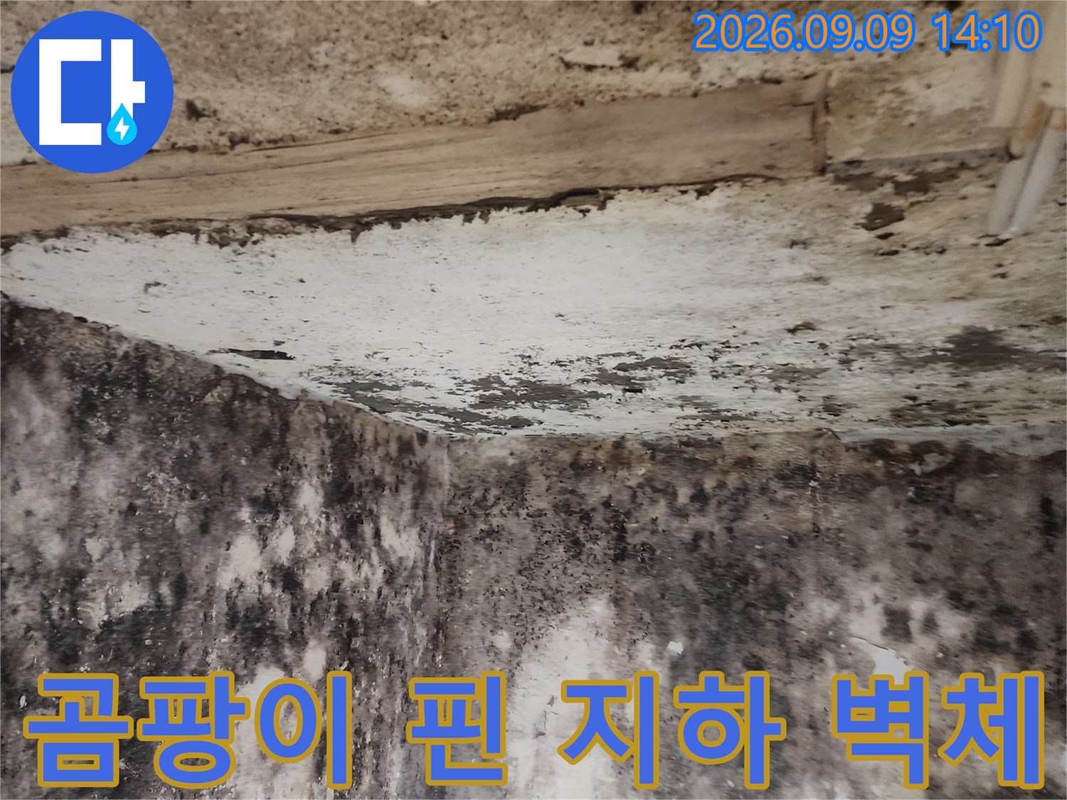 습기와 곰팡이로 오염된 지하실 내부 벽면 모습