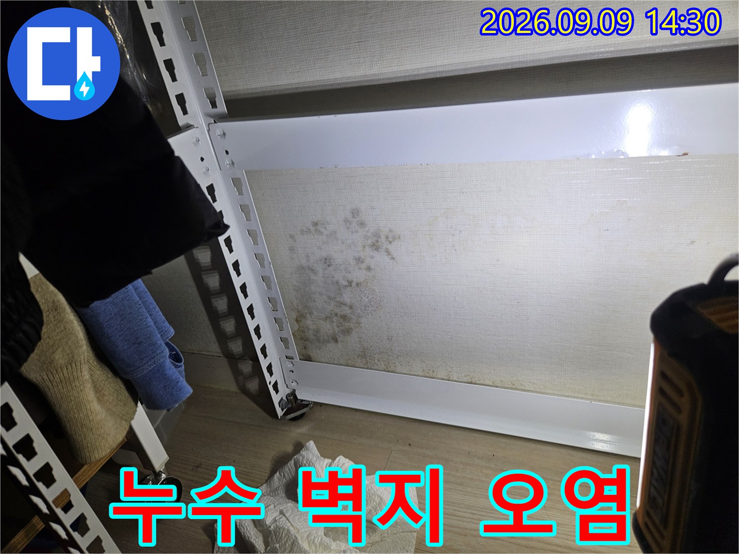 거실 벽면에 발생한 물샘 흔적과 곰팡이 오염 부위