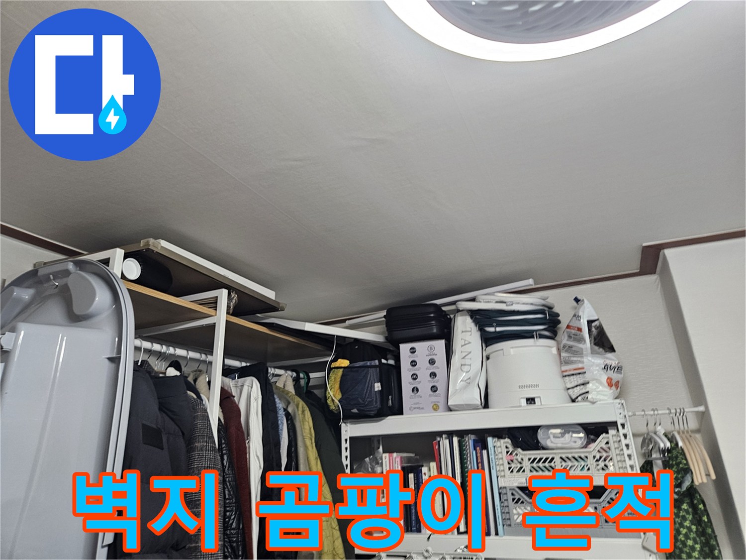습기로 인해 발생한 벽면 곰팡이 사진