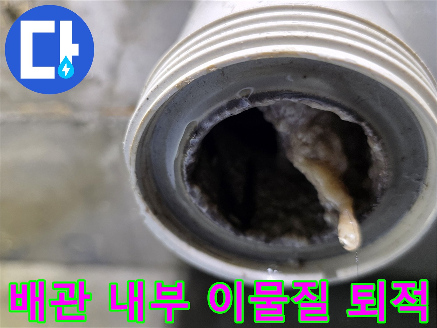 배수관 안쪽의 뭉쳐진 머리카락과 슬러지