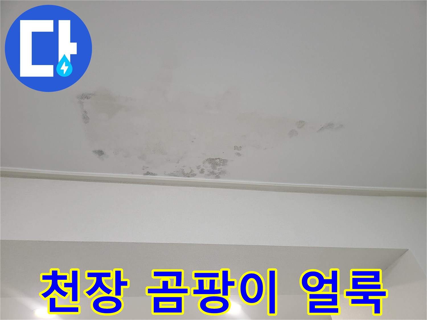 천장 마감재-부근에 나타난-곰팡이와 변색된 부위