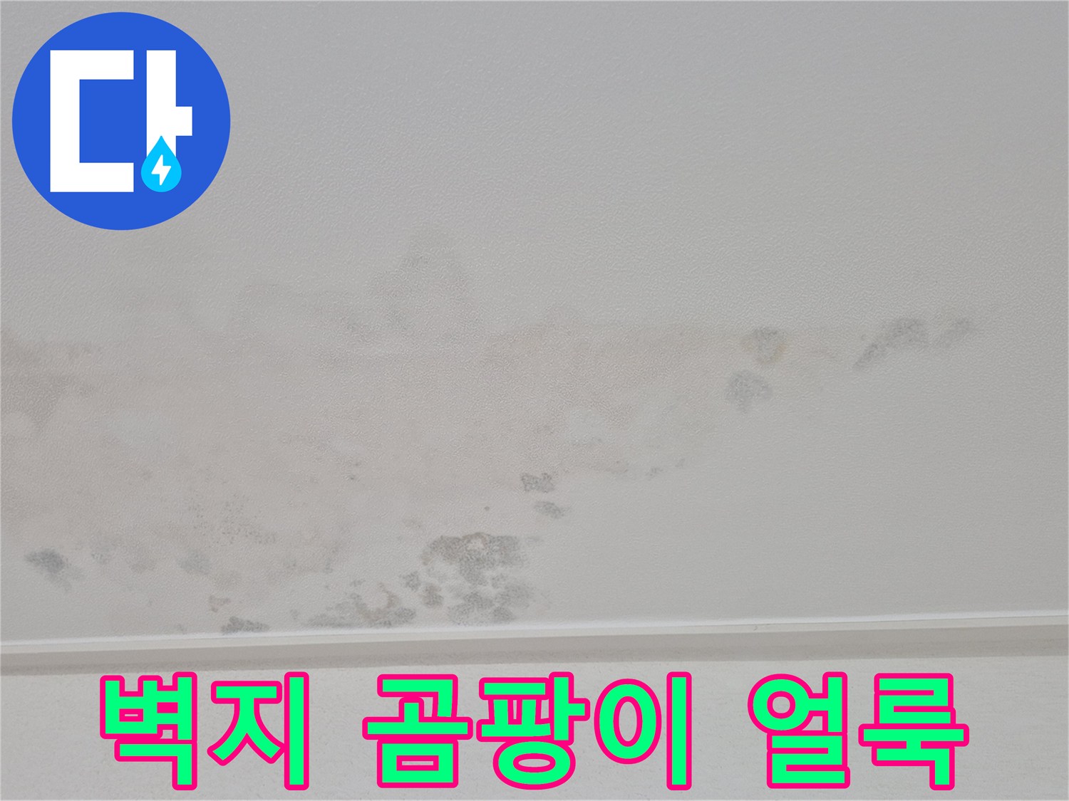 천장-벽지에-스며든-물자국과-습기-흔적