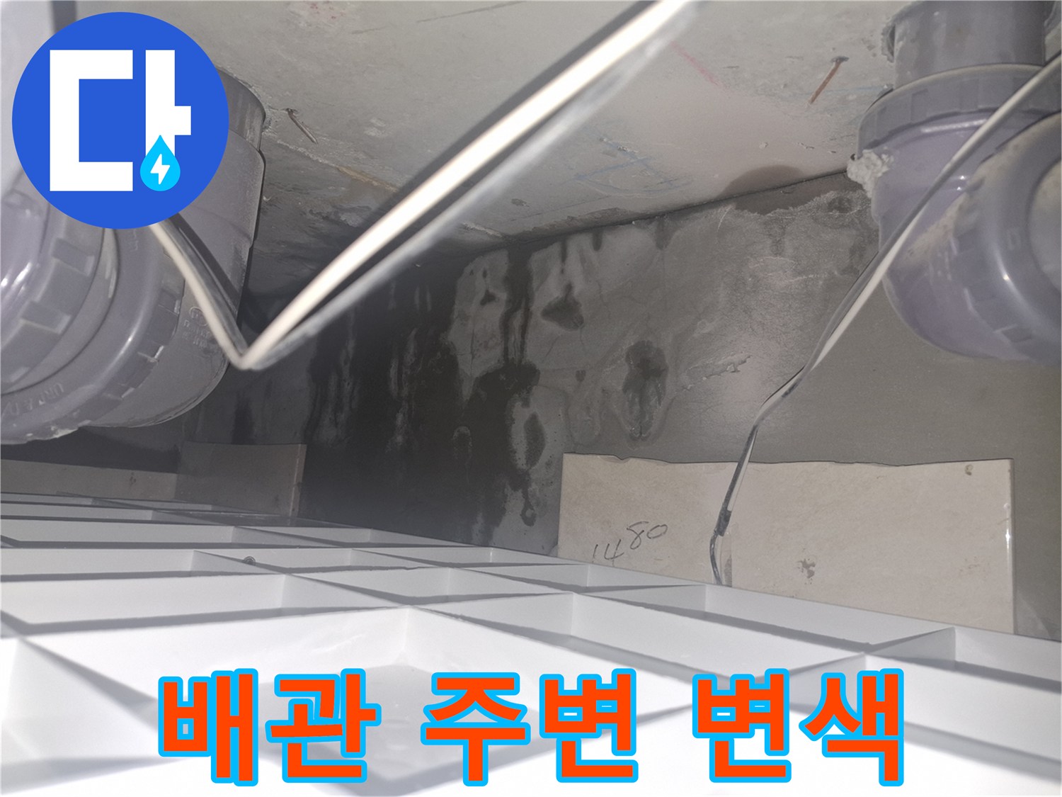천장 내부 점검 - 배관 주변의 젖은 콘크리트와 검은 얼룩