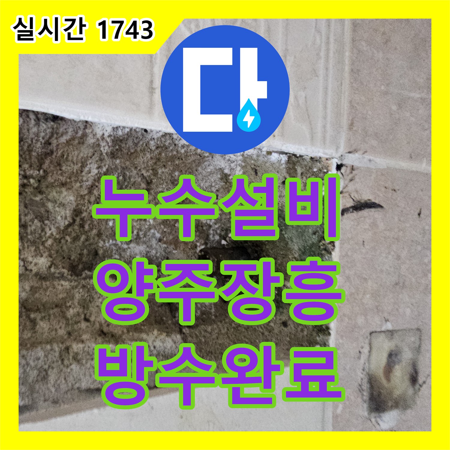 누수설비 욕실 벽 내 부식 파이프 교체 및 방수 마감 처리를 진행한 경기 양주시 장흥면 사례