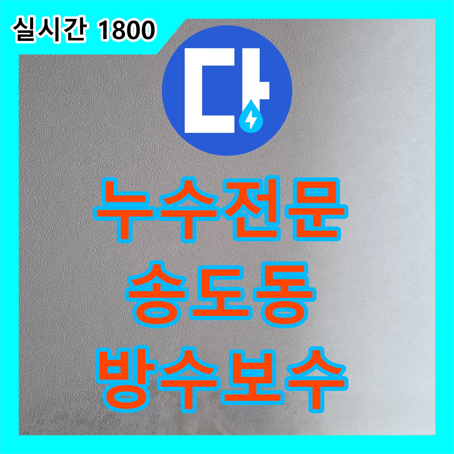누수전문 화장실 벽면 습기로 인한 곰팡이 발생 지점을 정밀하게 찾아 해결한 인천 연수구 송도동