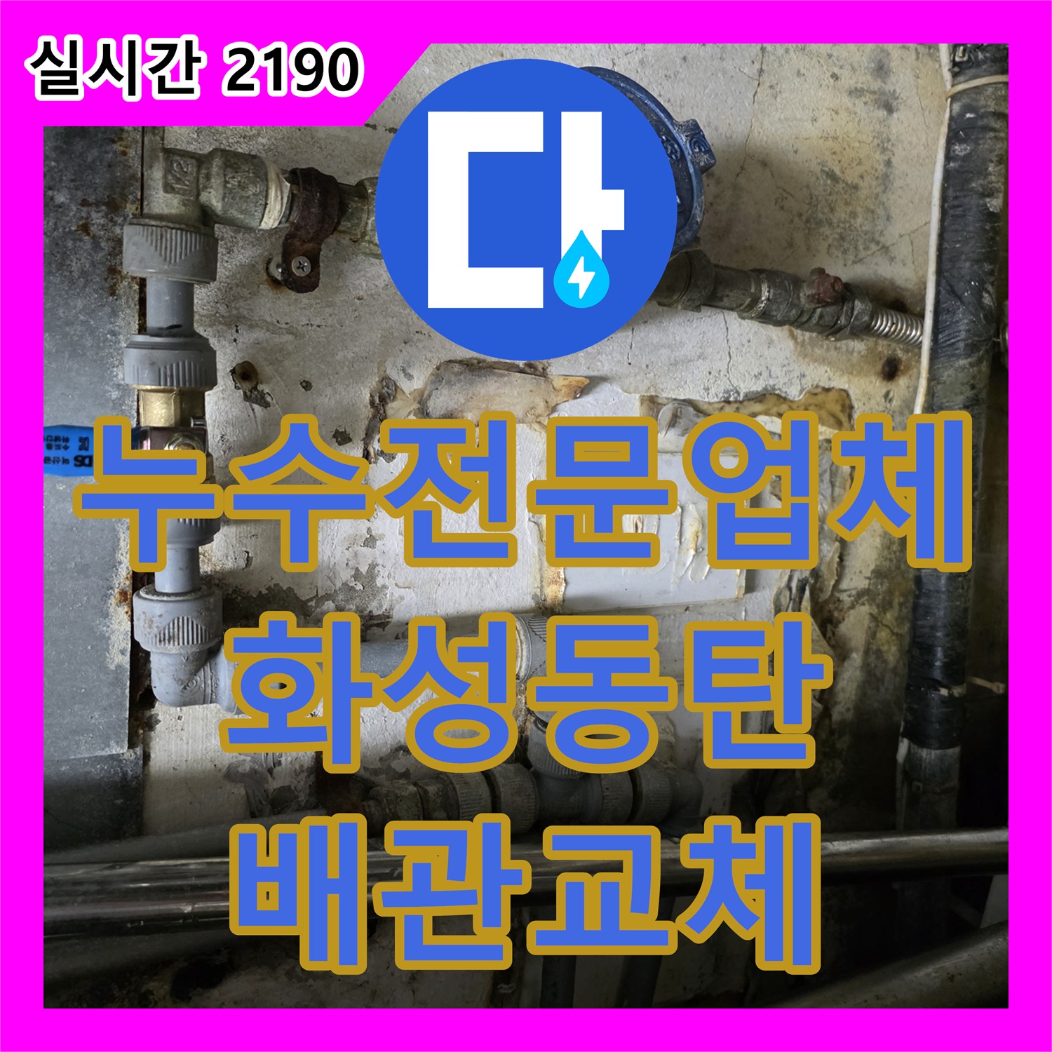 누수전문업체 상수도 배관 결함으로 인한 식당 복도 누수 지점을 찾아 정확하게 교체한 과정 경기 화성시 동탄구 반송동