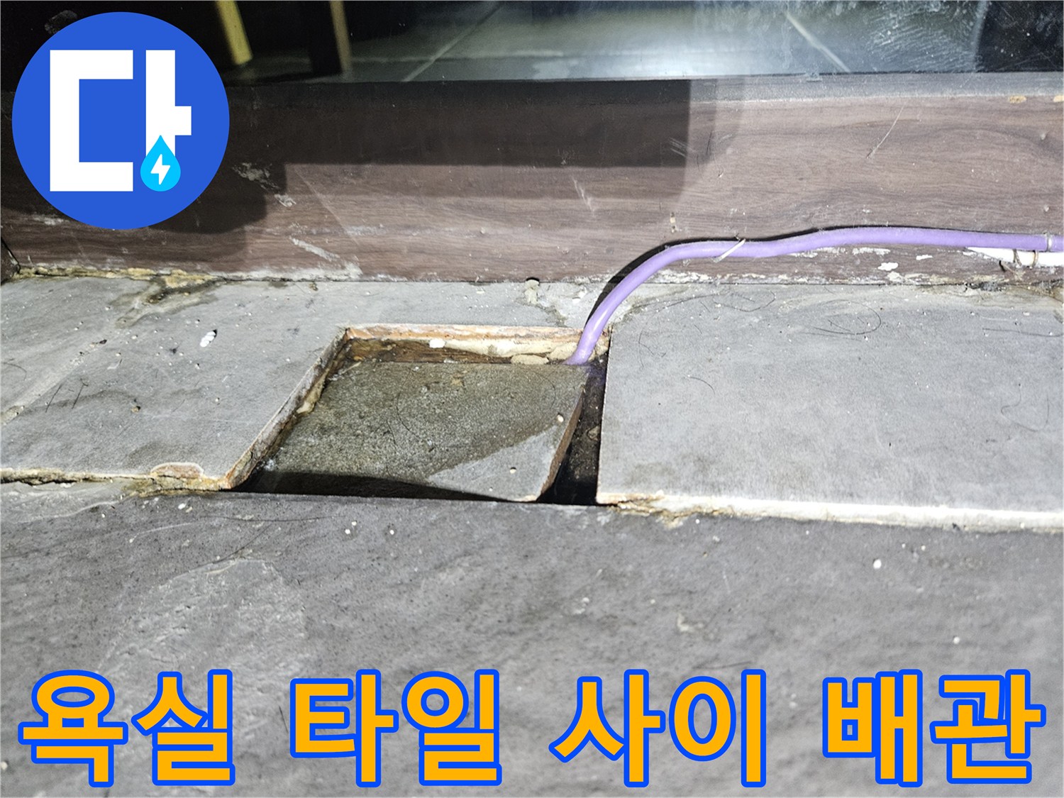 호원동 현장 사진-타일 틈새로 드러난 보라색 배관과 습기 찬 벽면