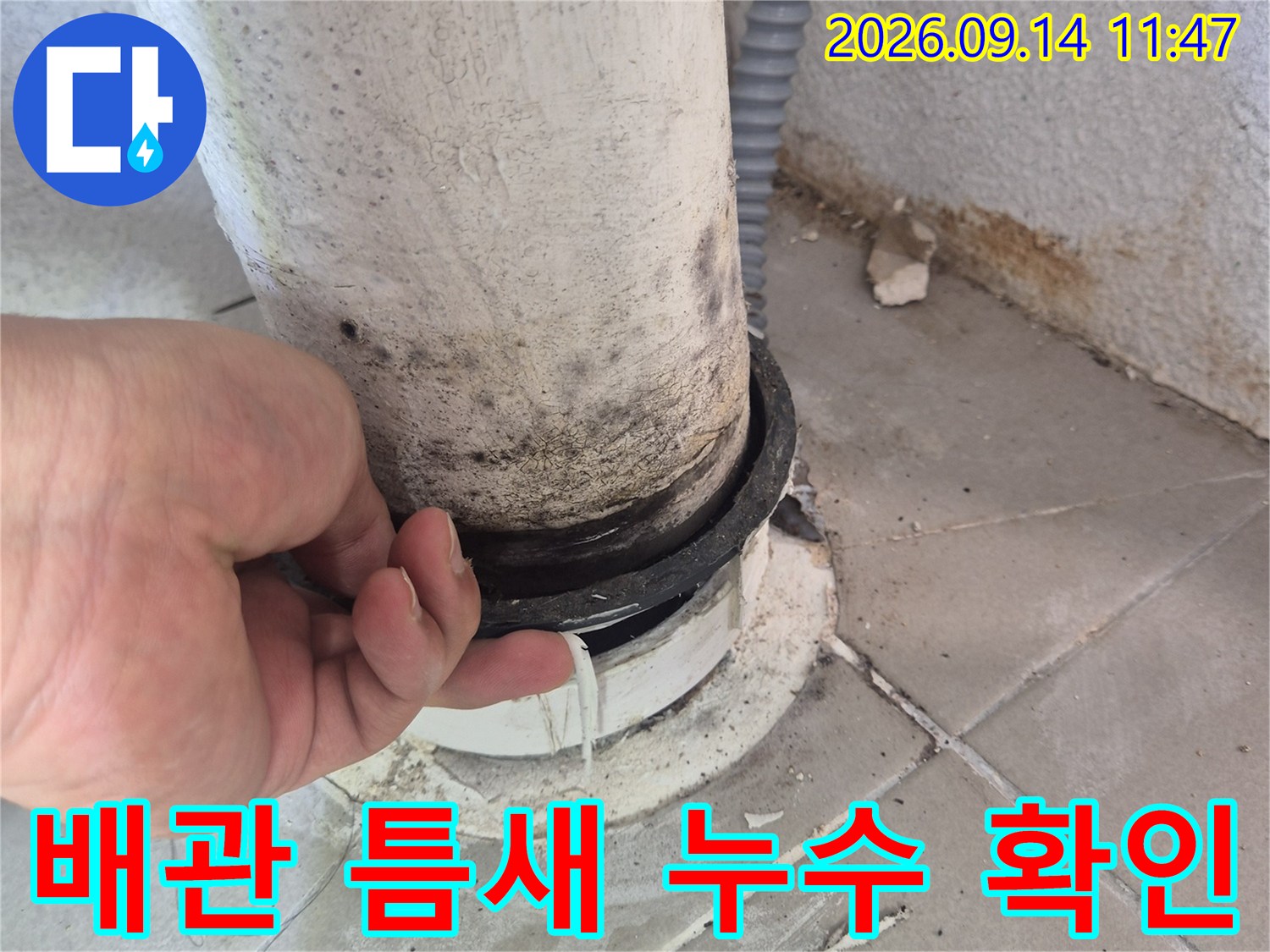 우수관 배관 주변의 오염된 틈새를 손으로 가리키며 점검하고 있습니다.
