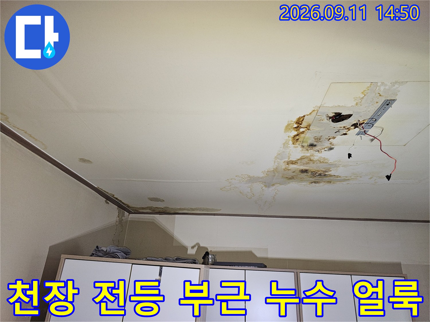 구로구 개봉동 아파트-천장 전등 부근의 심한 누수 흔적과 곰팡이 발생 상태