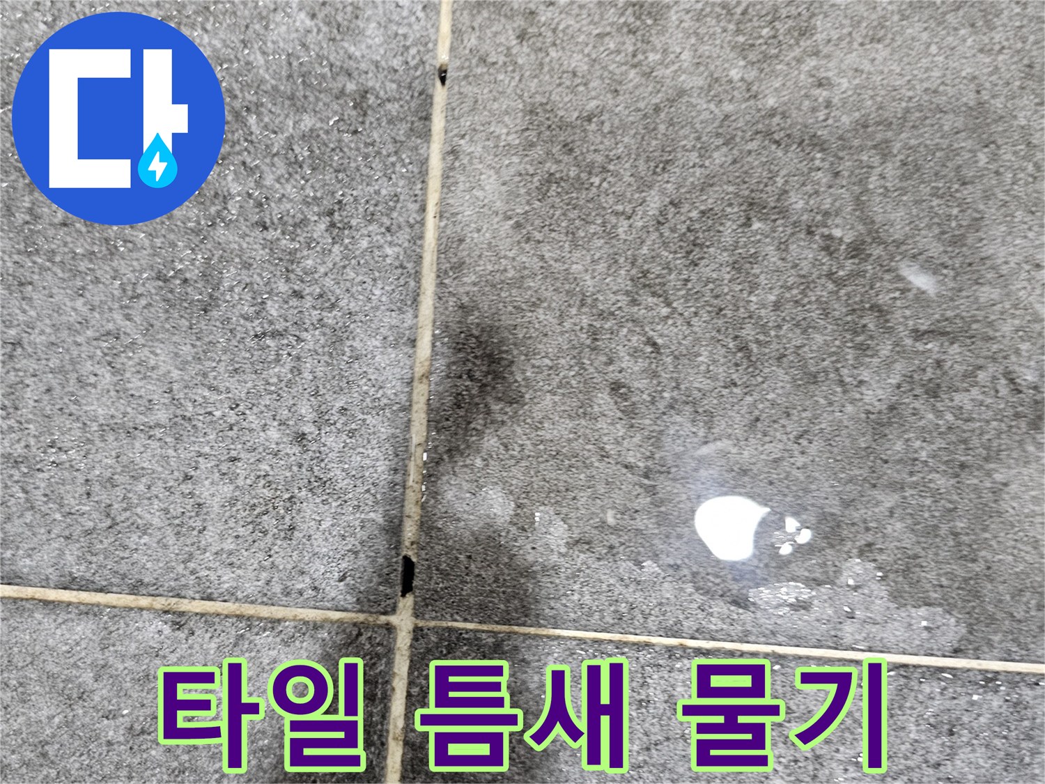 욕실-타일-사이로-스며든-축축한-물기