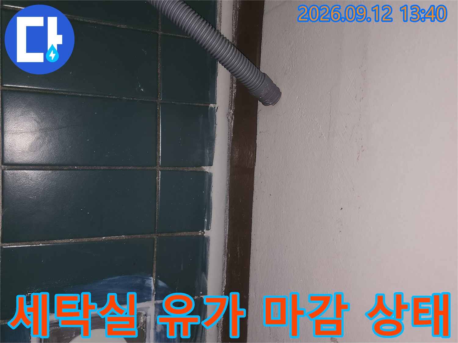 성동구 성수층 세탁실 배수구 주변 타일 틈새 관찰