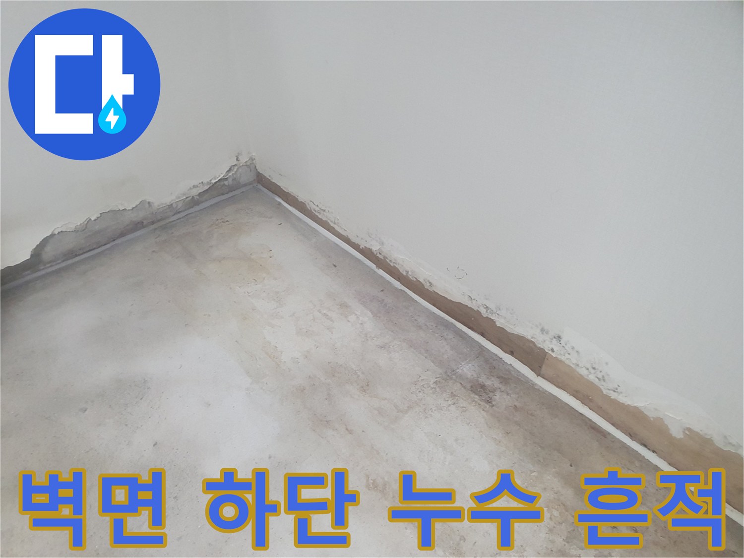 누수가 의심되는 벽체-벽지와 바닥이 만나는 지점의 젖음