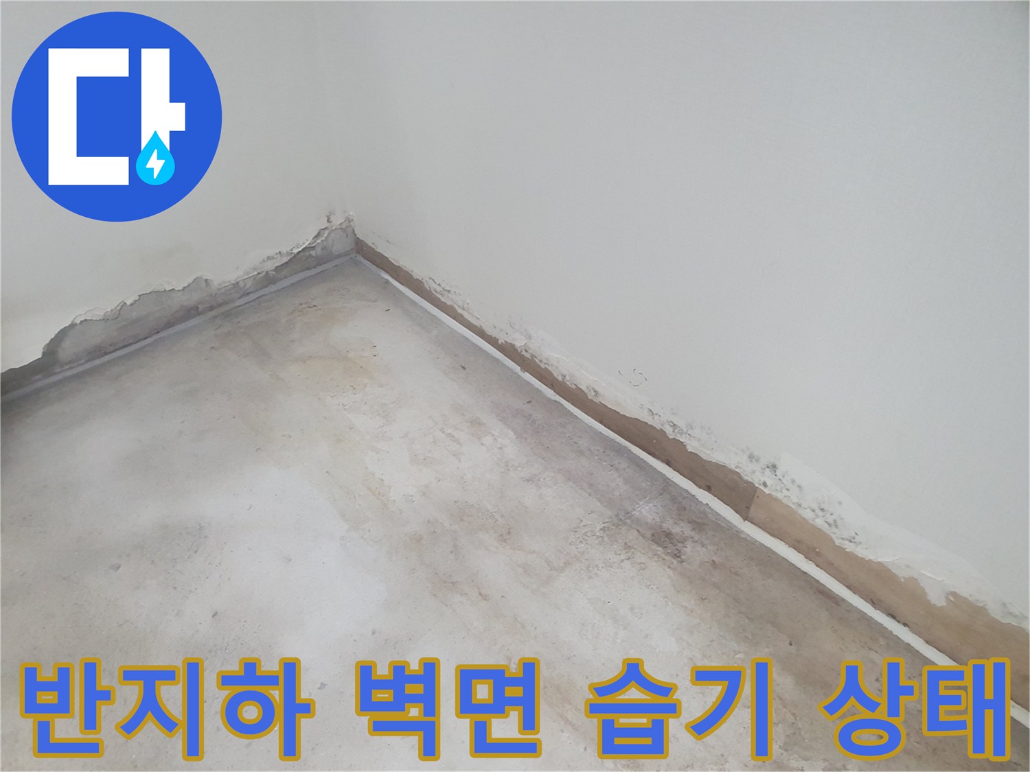 부천 춘의동 반지하 세대의 벽면 하단부 습기로 인한 도배지 들뜸 현상