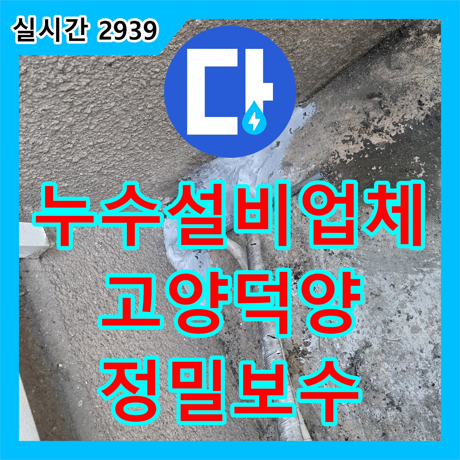 누수설비업체 내시경 카메라로 찾아낸 외벽 배관 연결부 방수층 파손 보수 공사 고양시 덕양구 행신동