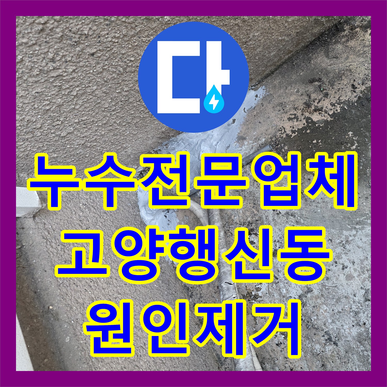 누수전문업체 외벽 배관 파손 부위 정밀 진단 및 밀폐 방수 처리 경기 고양시 덕양구 행신동