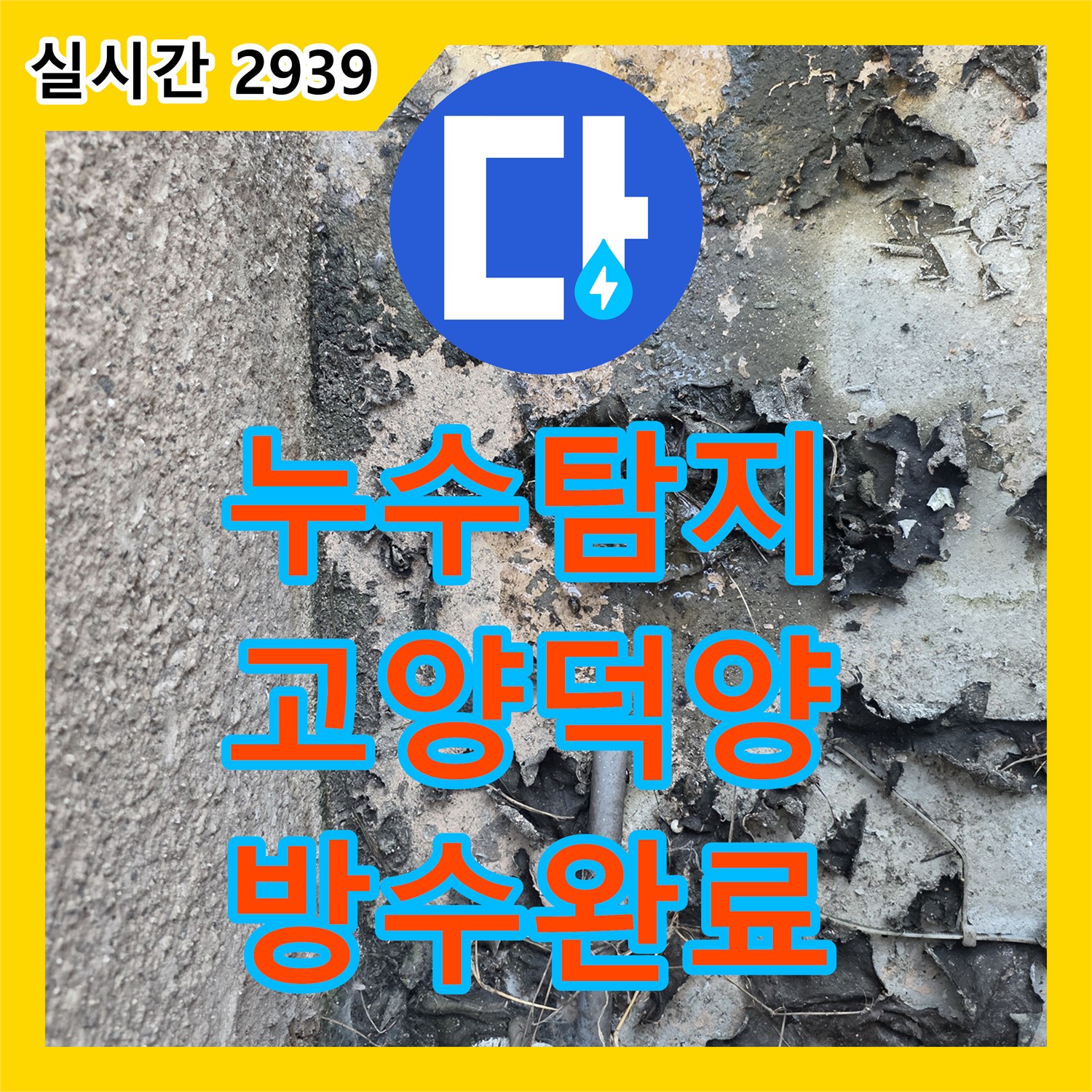 누수탐지 외벽 배관 연결 부위의 방수층 손상과 누수를 정밀하게 진단하고 보수한 사례 경기 고양시 덕양구 행신동