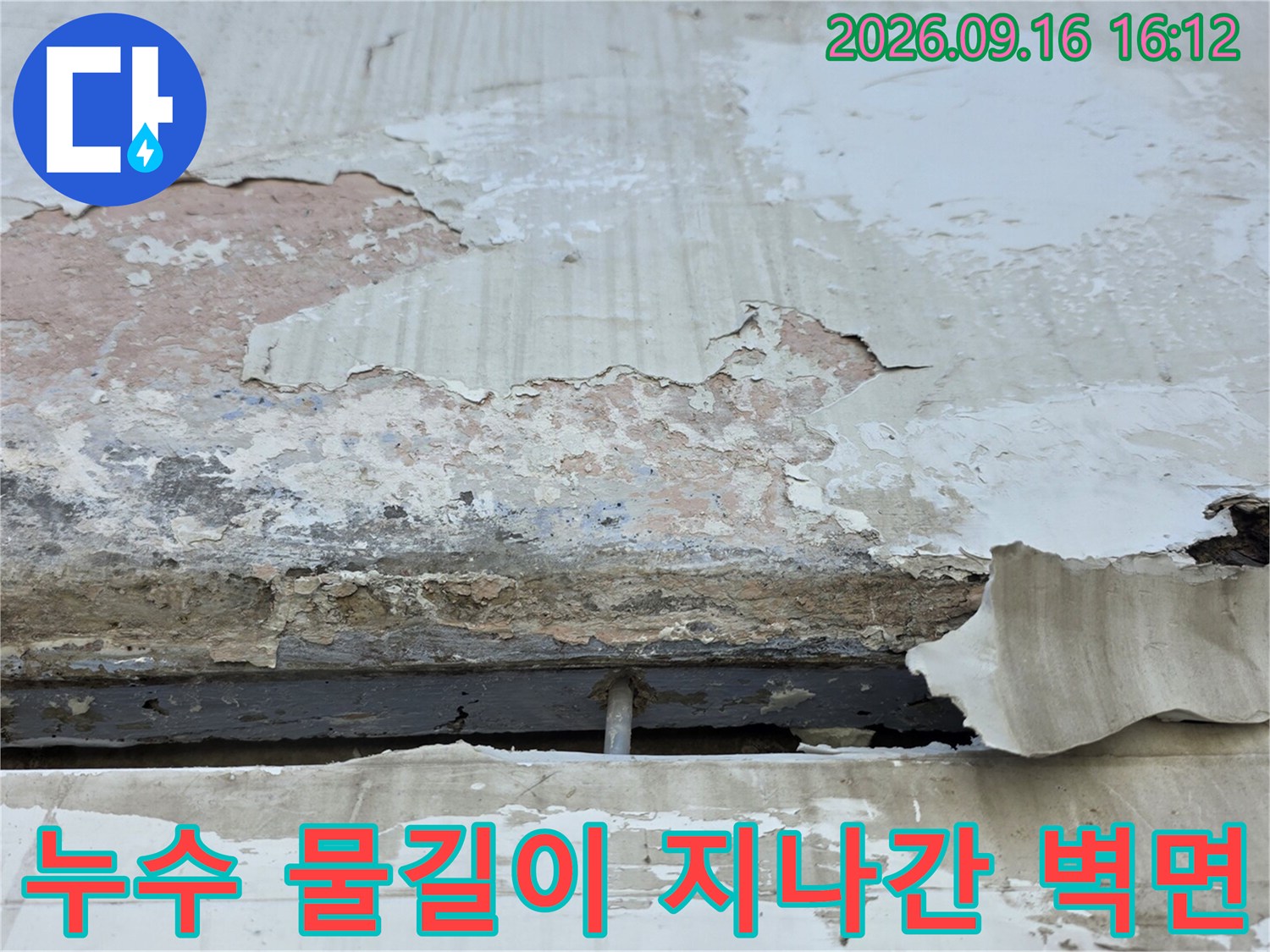 페인트가 찢어지듯 벗겨진 누수 피해 벽체 상세 사진입니다.