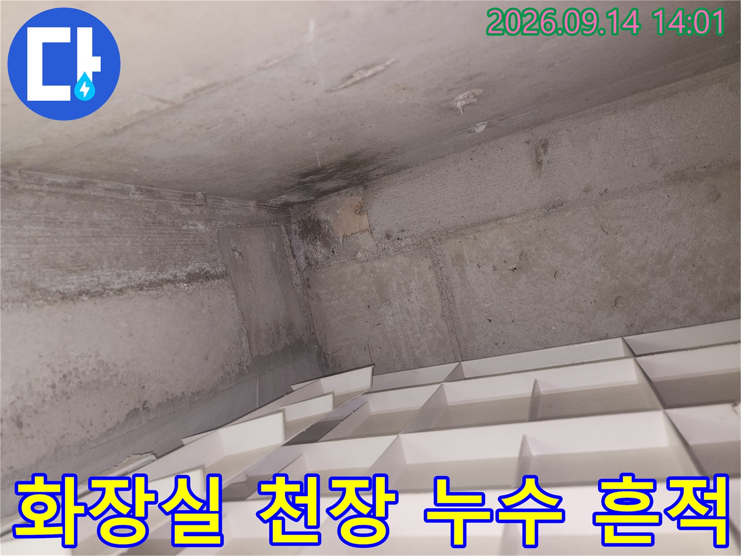 용인 처인구 화장실 천장 벽면의 누수 얼룩과 습기 상태