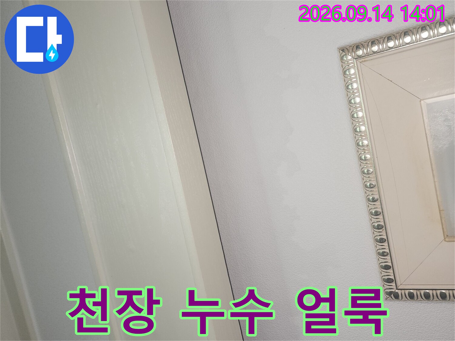 용인 처인구 화장실 천장 부근에 발생한 물자국과 얼룩 현상