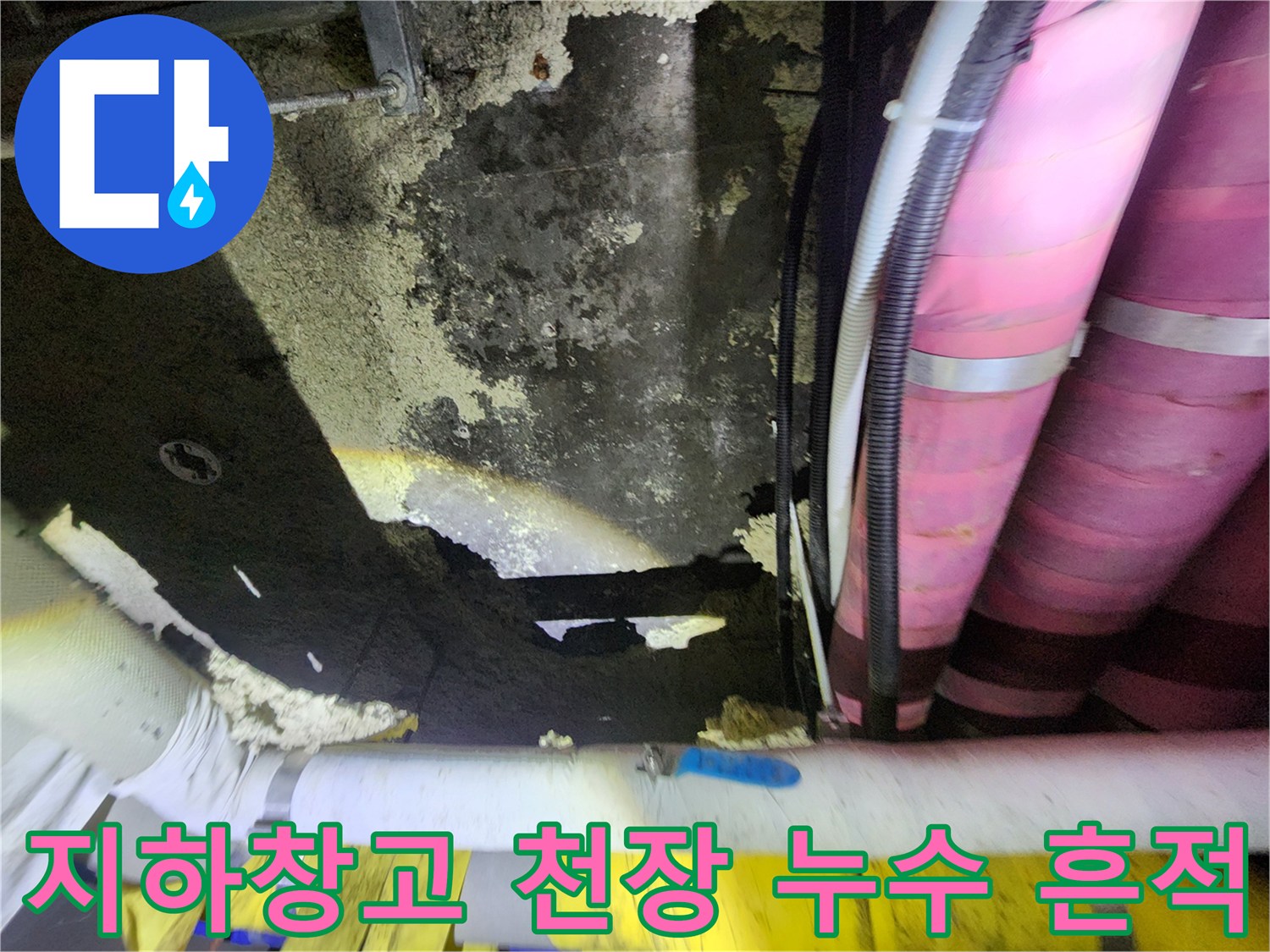 마포구 도화동-지하 창고 천장의 배관 부근 누수 자국과 얼룩 상태