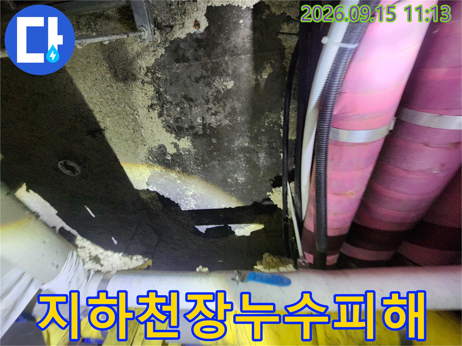 지하-창고-천장의-심한-변색과-배관-상태