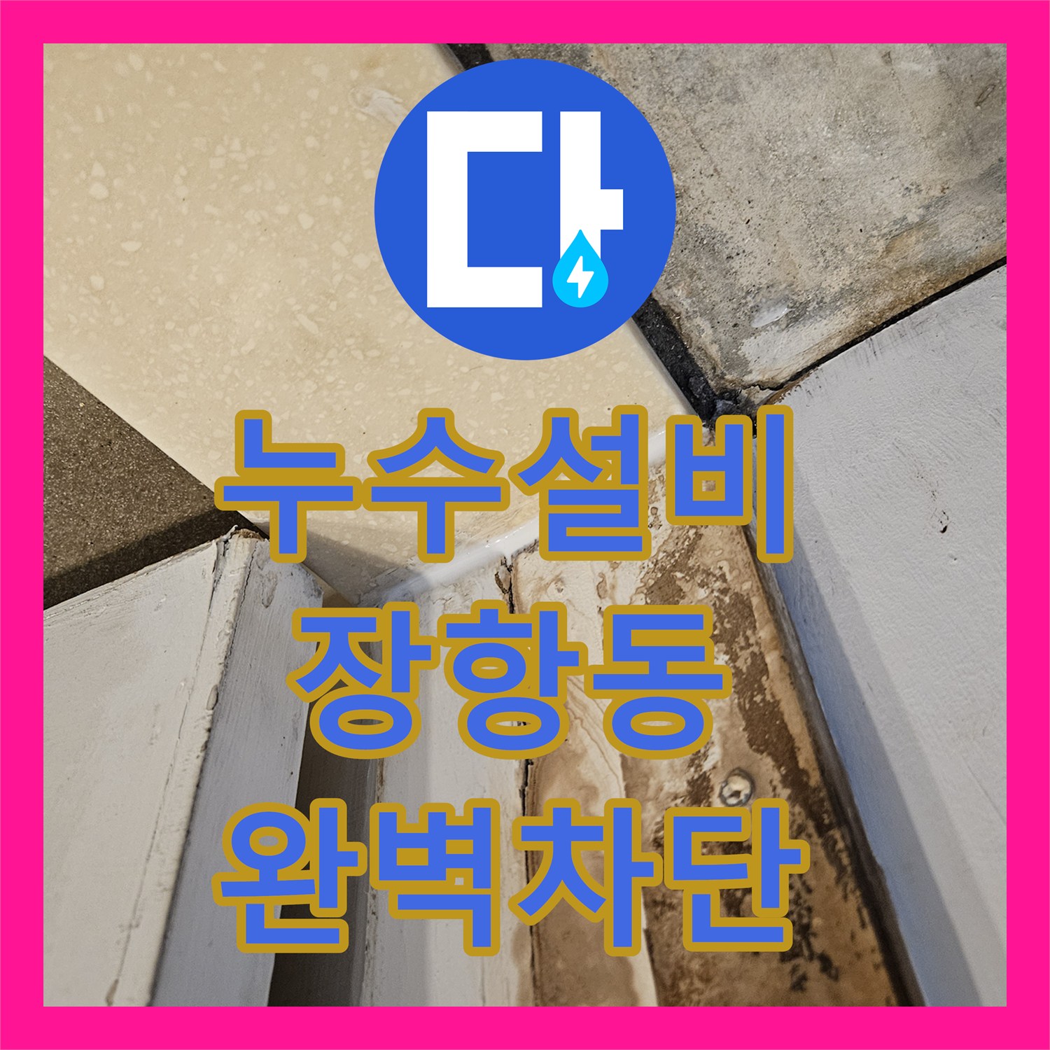 누수설비 욕실 배수구 주변 방수층 파손 및 타일 메지 탈락 보수한 경기 고양시 일산동구 장항동 현장