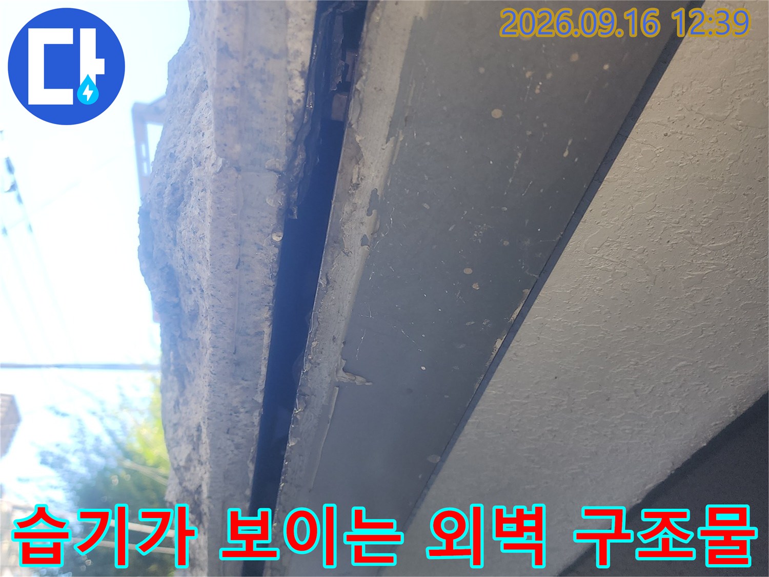 콘크리트 구조물 틈새로 보이는 누수 발생 부위
