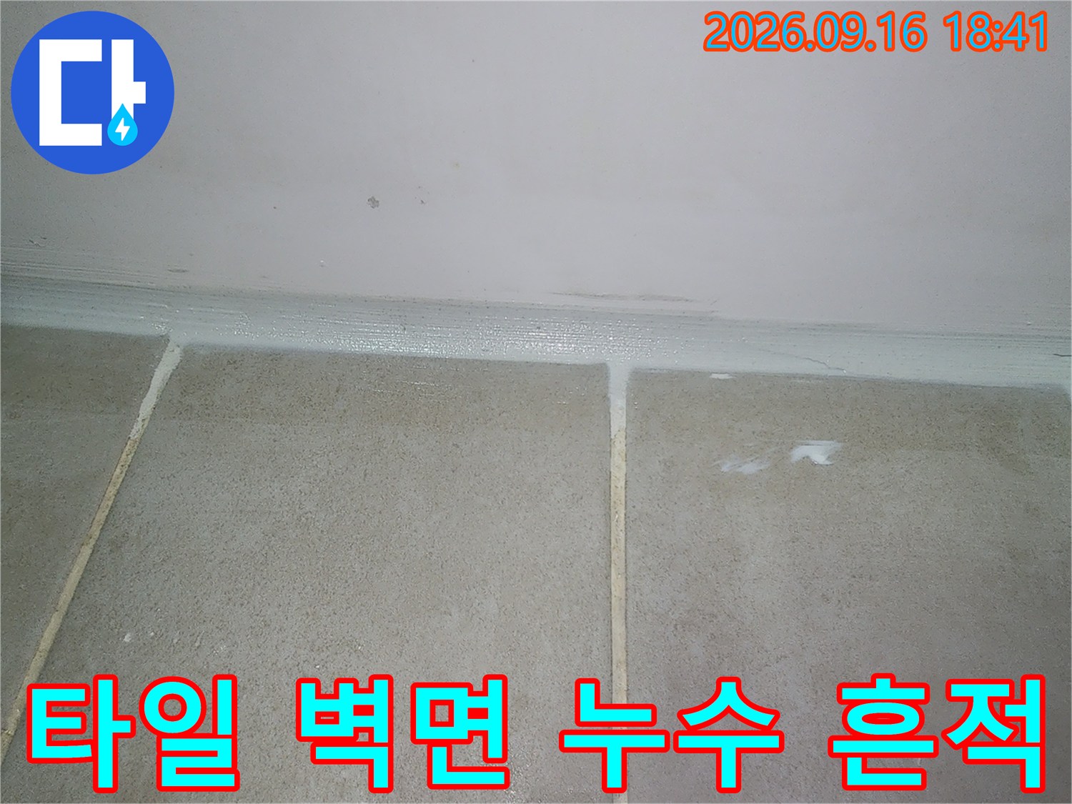 은평구 녹번동 화장실 타일과 벽면 사이의 물스밈 현상 확인